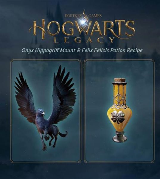 Гра Hogwarts Legacy для Sony PlayStation 4, Blu-ray (5051895413418) 5051895413418 фото