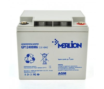 Акумуляторна батарея Merlion 12V 40AH (GP12400M6/06016) AGM GP12400M6/06016 фото