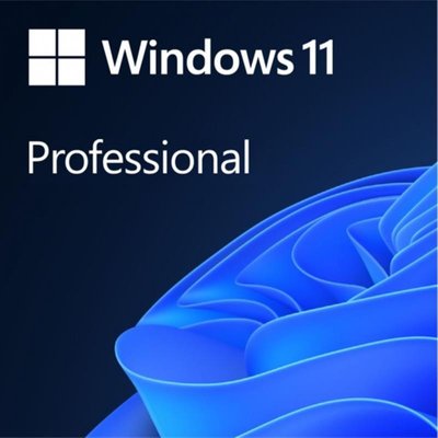 Програмне забезпечення Microsoft Windows 11 Professional 64Bit Eng Intl 1ПК DSP OEI DVD (FQC-10528) FQC-10528 фото