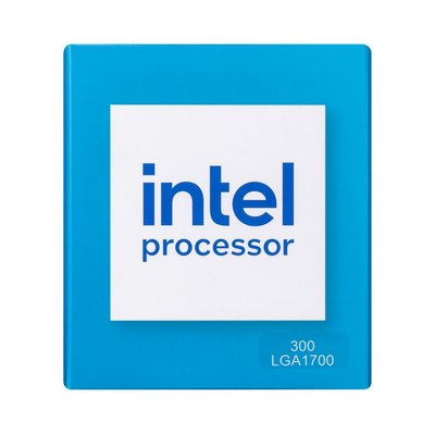 Процесор Intel 300 3.9GHz (6MB, Raptor Lake Refresh, 46W, S1700) Box (BX80715300) BX80715300 фото